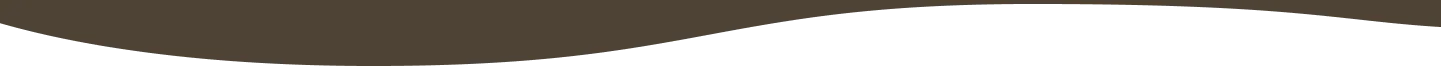 Decorative section divider